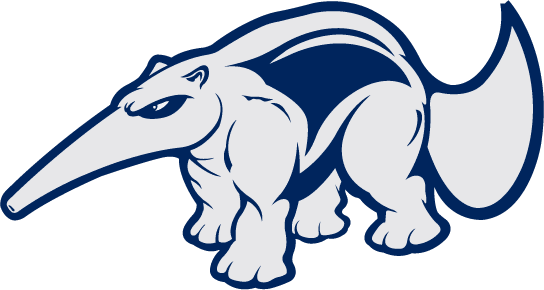 California-Irvine Anteaters 1991-2008 Mascot Logo iron on transfers for T-shirts